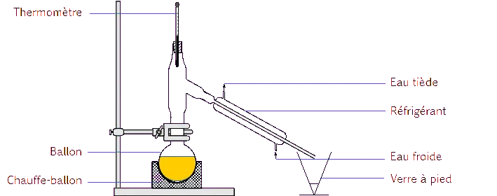DrawObject1